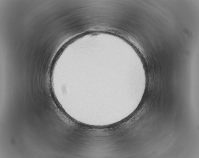 X0000110870976200907301410