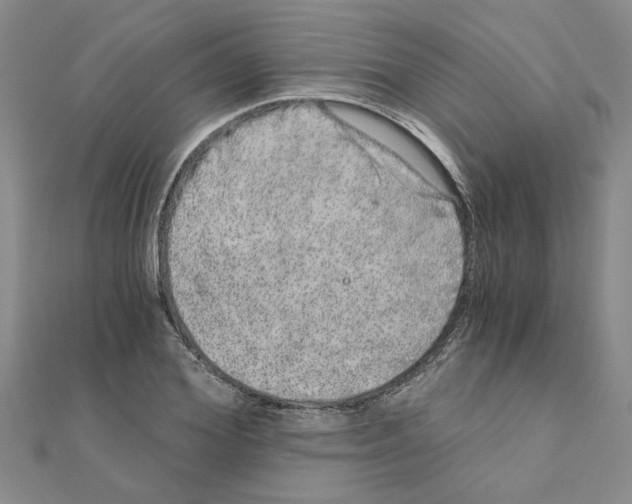 X0000110870980200907301410