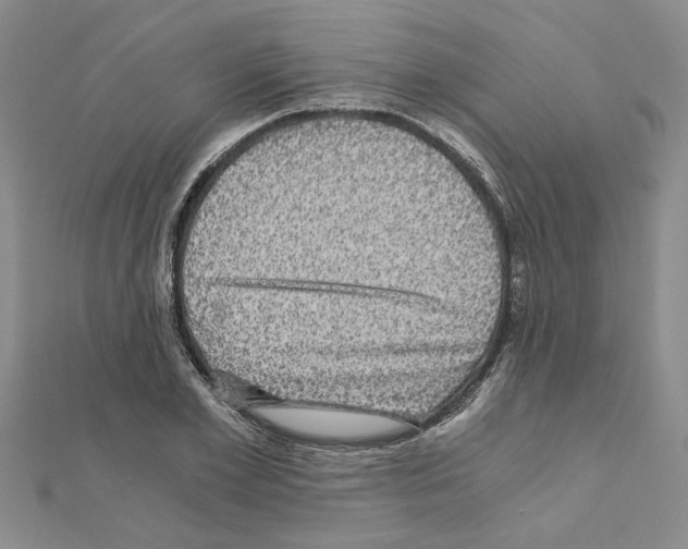 X0000110870981200907301410