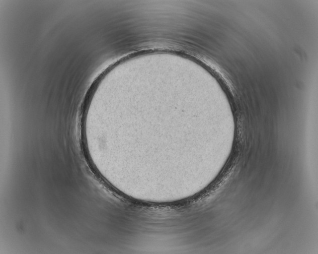 X0000110870983200907301410