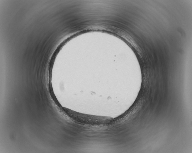 X0000110870984200907301410