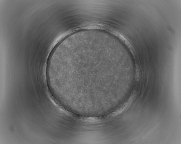 X0000110870986200907301410