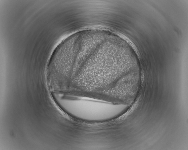 X0000110870989200907301409