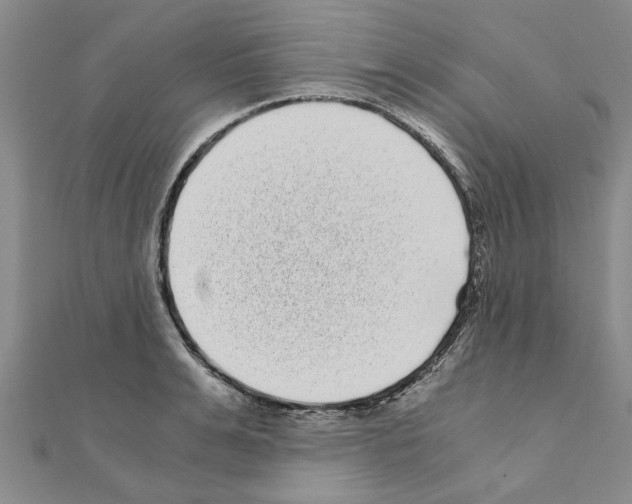 X0000110870991200907301409