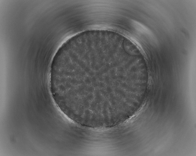 X0000110870992200907301409