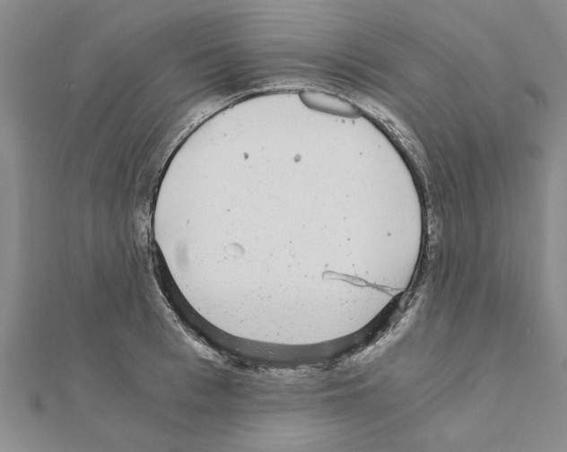 X0000110870993200907301409