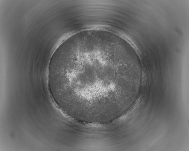 X0000110870994200907301409