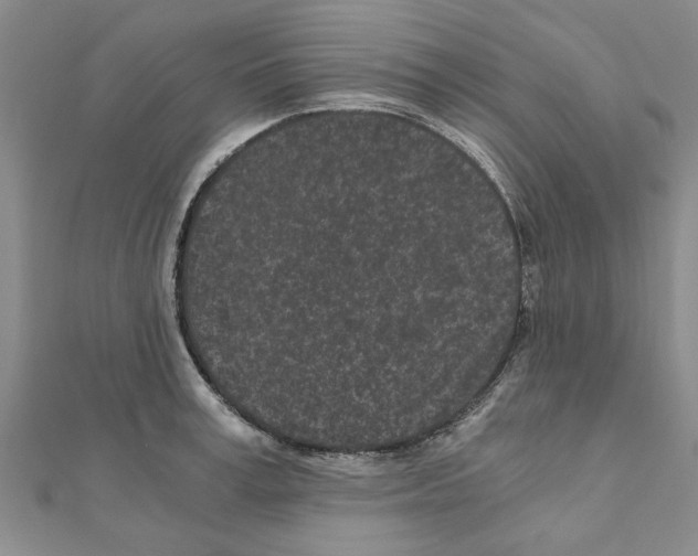 X0000110870995200907301409