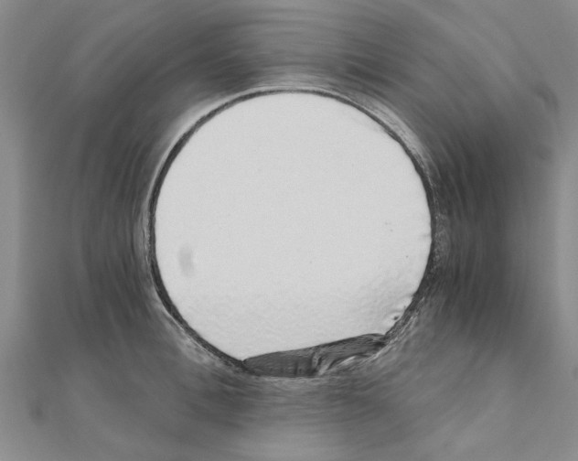 X0000110870996200907301409