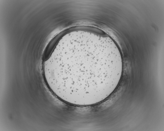 X0000110870997200907301409