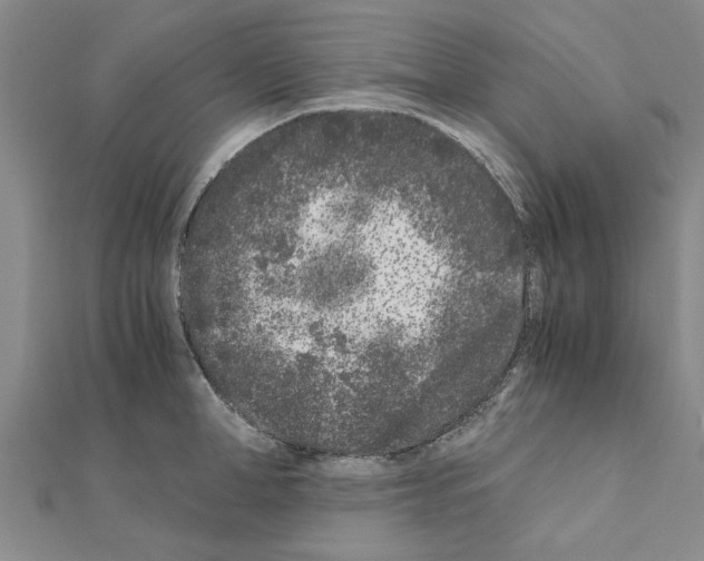 X0000110870998200907301409