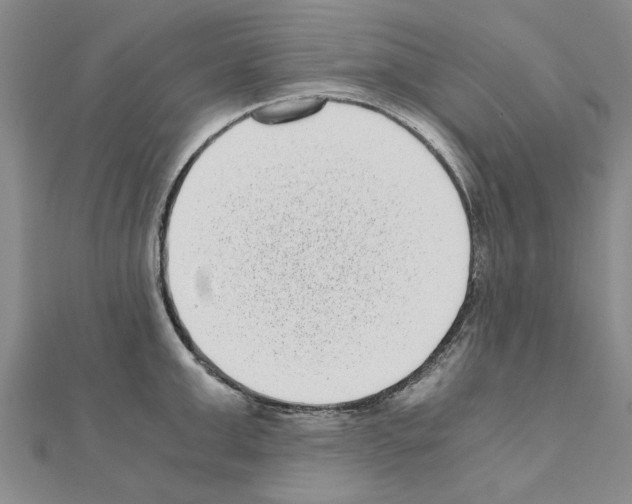 X0000110870999200907301409