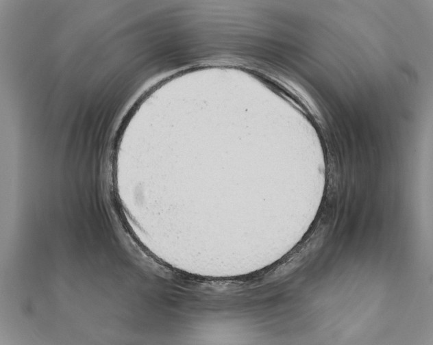 X0000110871000200907301409