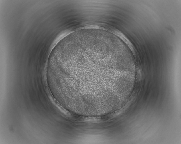 X0000110871002200907301409