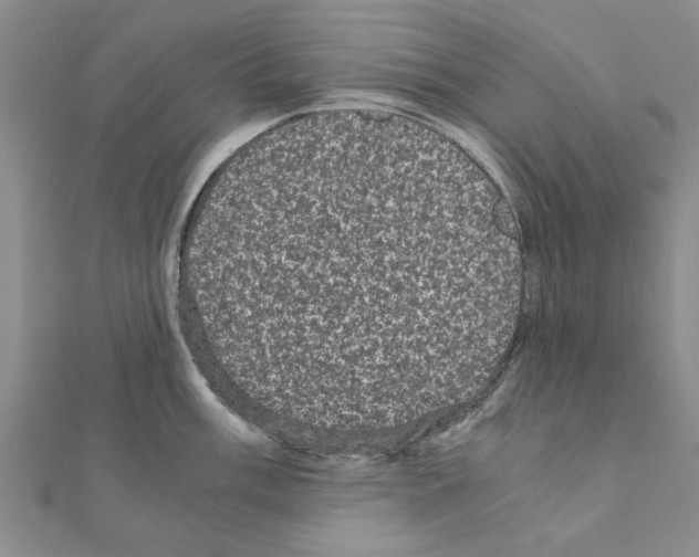 X0000110871003200907301409