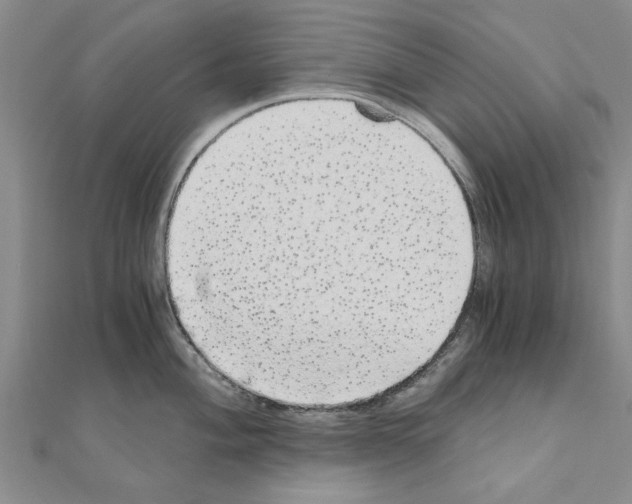 X0000110871004200907301409