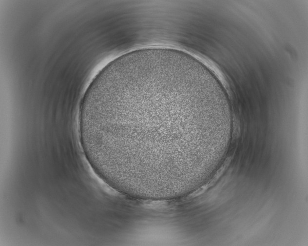 X0000110871006200907301409