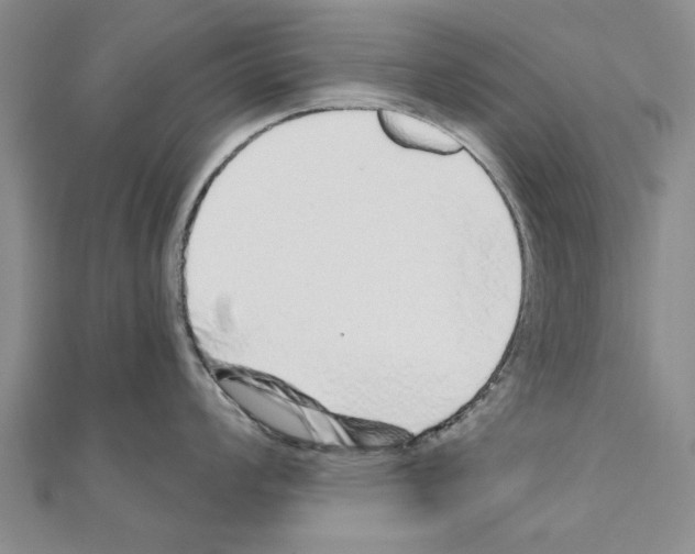 X0000110871008200907301409