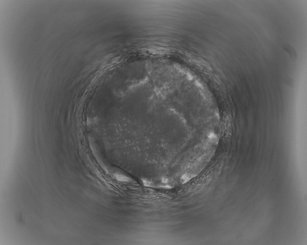 X0000110871009200907301409