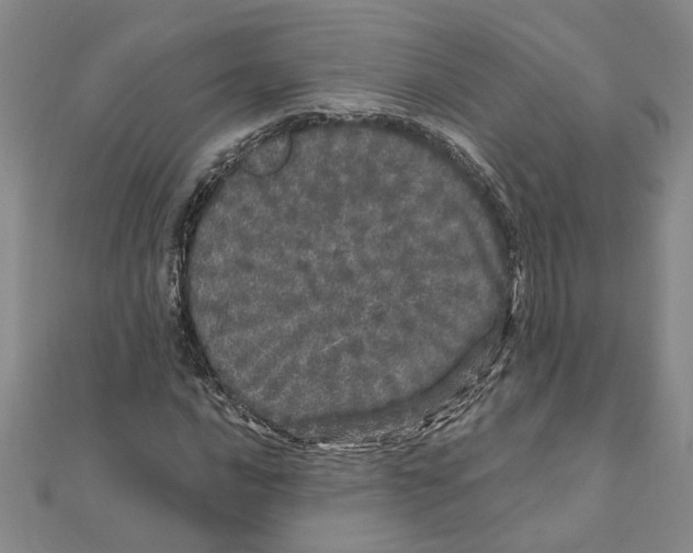 X0000110871016200907301409