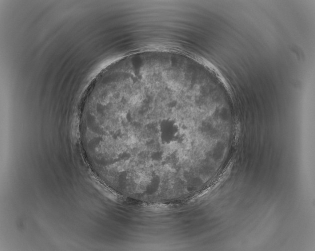 X0000110871019200907301409