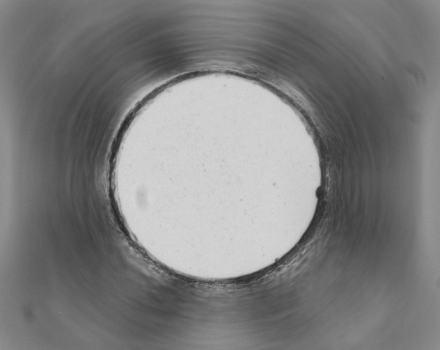 X0000110871020200907301409