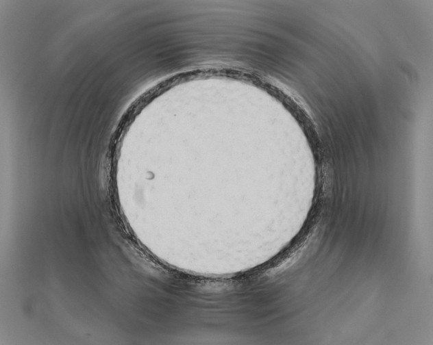 X0000110871021200907301409