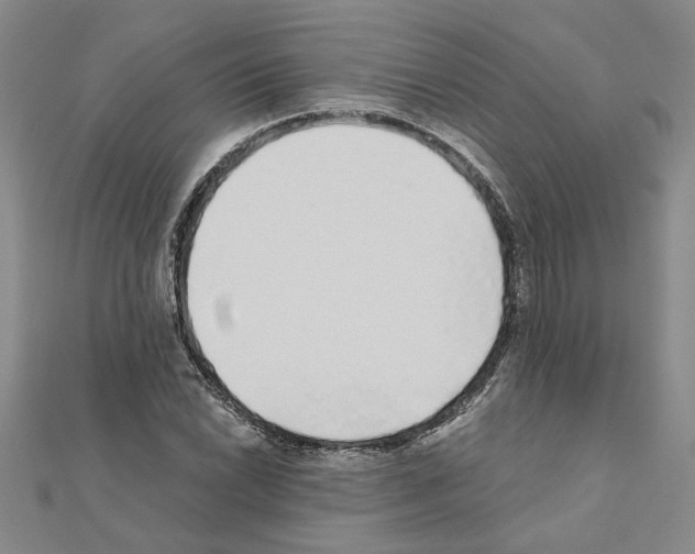 X0000110871022200907301409