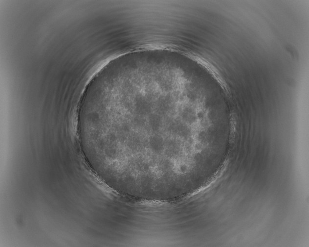 X0000110871023200907301409