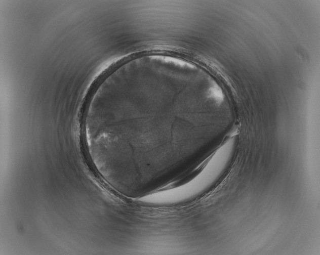 X0000110871024200907301409