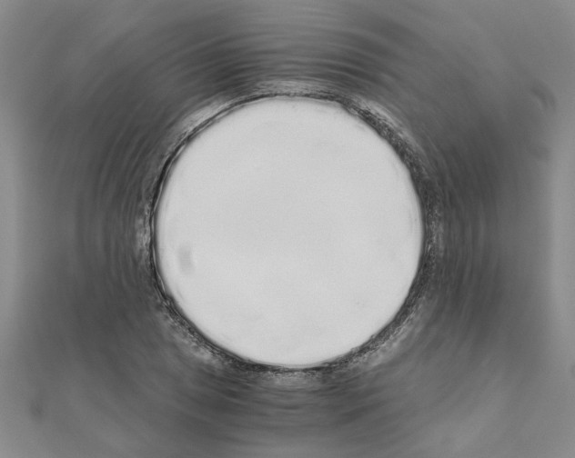 X0000110871025200907301409