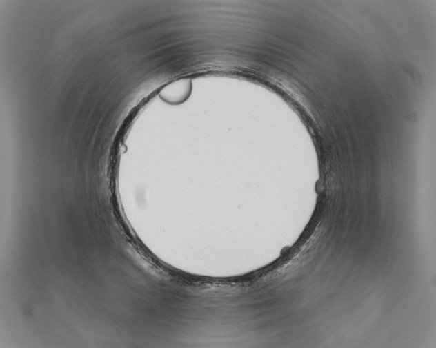 X0000110871026200907301409