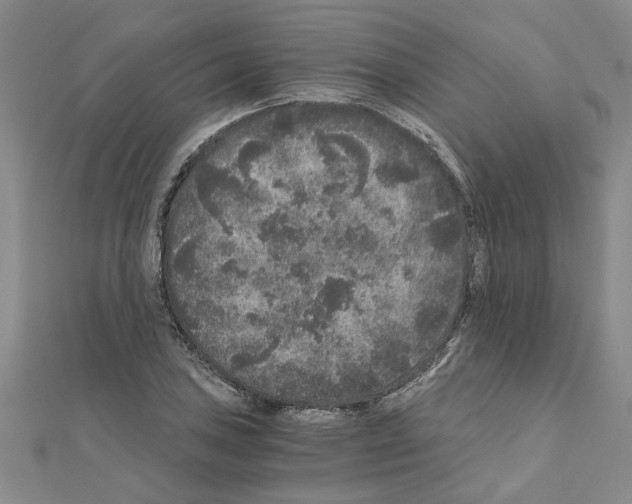 X0000110871027200907301409