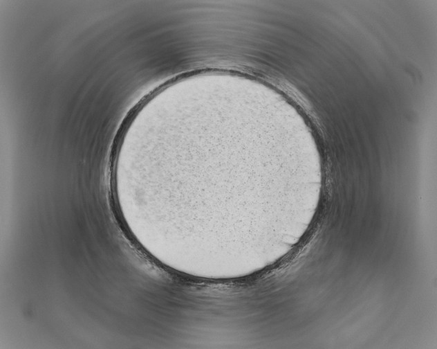 X0000110871028200907301409