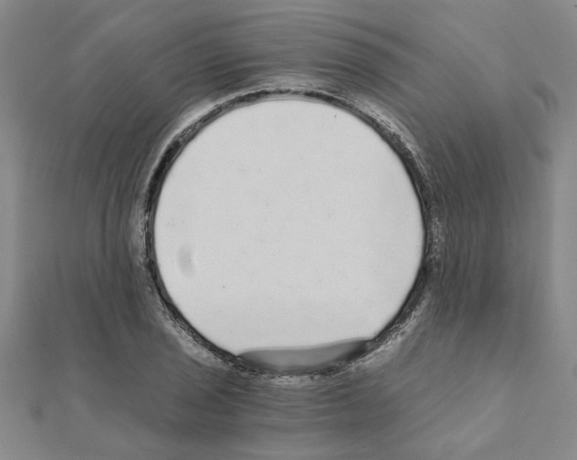 X0000110871029200907301409