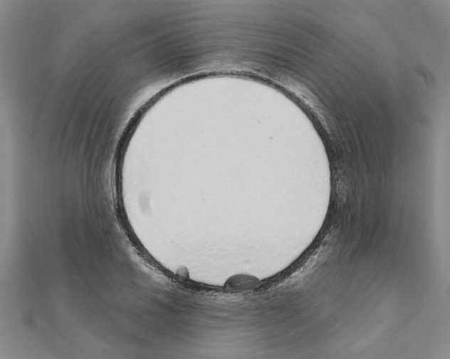 X0000110871030200907301409