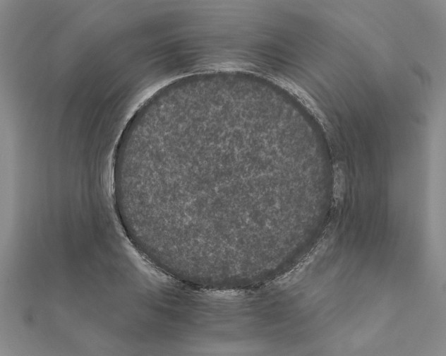 X0000110871031200907301409