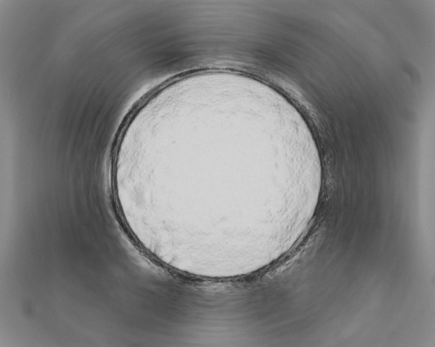 X0000110871032200907301409