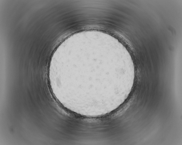 X0000110871033200907301409