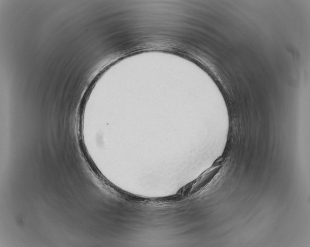 X0000110871034200907301409