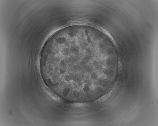 X0000110871035200907301409