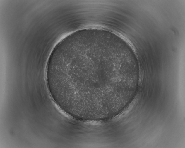 X0000110871037200907301409