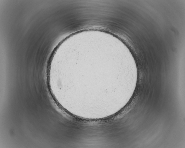 X0000110871038200907301409