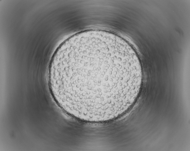 X0000110871040200907301409