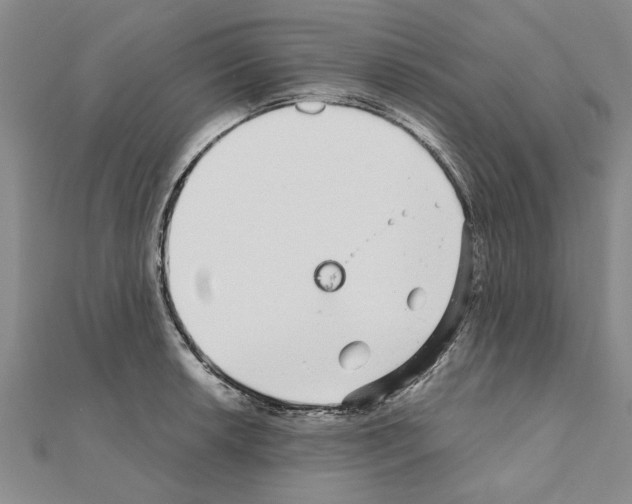 X0000110871042200907301409