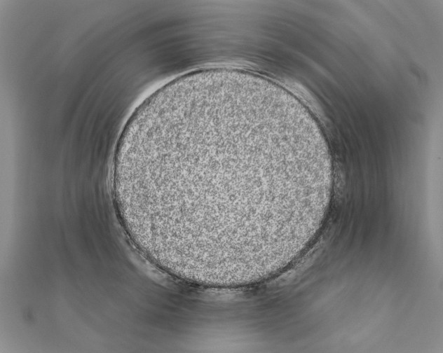 X0000110871044200907301409