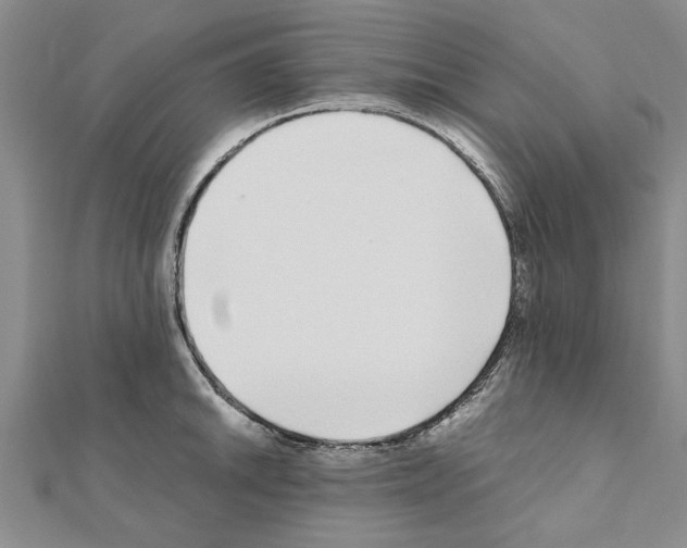 X0000110871046200907301409