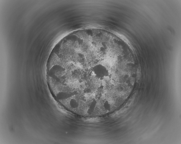 X0000110871047200907301409