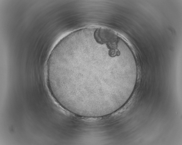 X0000110871048200907301409