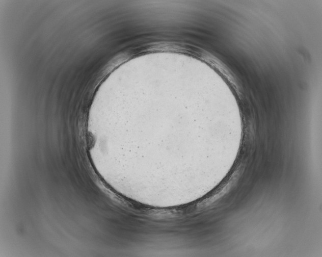 X0000110871049200907301409